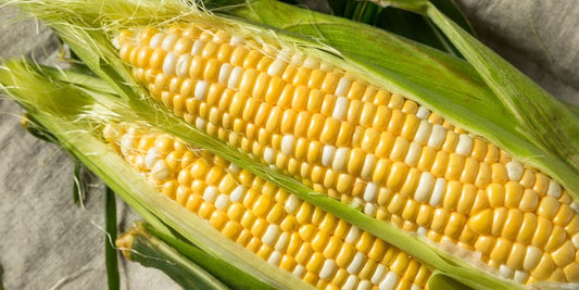 Corn